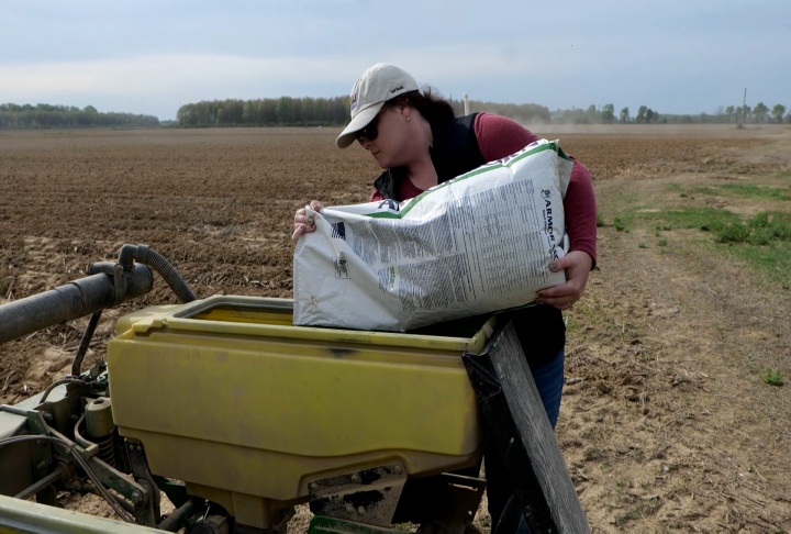 Placing corn in the planting bin.